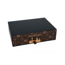 Harry Potter caja fan...