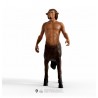 Figura Firenze Harry Potter