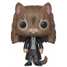 Funko Hermione gata 77