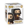 Prisoner of Azkaban - Rubeus Hagrid Animal Pelt Outfit 171