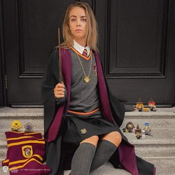 Falda Harry Potter