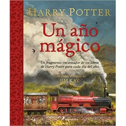 Un año mágico Harry Potter...