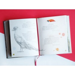 Un año mágico Harry Potter tapa dura