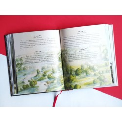 Un año mágico Harry Potter tapa dura