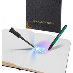 Diario mágico Tom Riddle