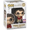 Funko Harry Potter con snitch dorada