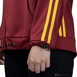 Sudadera con capucha Gryffindor
