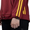 Sudadera con capucha Gryffindor