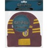 Set Guantes y Gorro Gryffindor