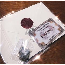 CARTA HARRY POTTER CON COLGANTE