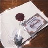 CARTA HARRY POTTER CON COLGANTE