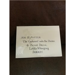 CARTA HARRY POTTER CON COLGANTE