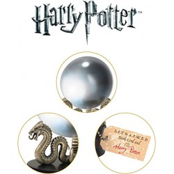 La Profecía de Harry Potter