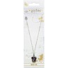 Colgante y collar chapado en plata Gryffindor