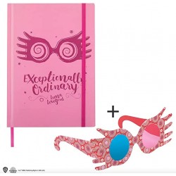 Harry Potter libreta...