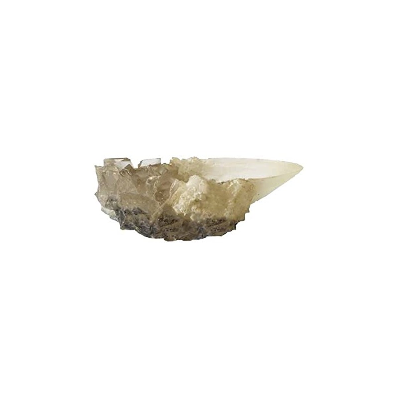 Copa de Cristal de Albus Dumbledore – The Noble Collection