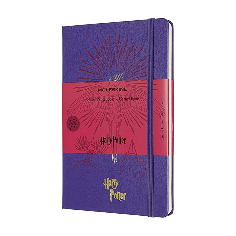 Cuaderno Diseño del Fénix 5/7