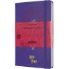 Cuaderno Diseño del Fénix 5/7