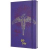 Cuaderno Diseño del Fénix 5/7