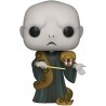Funko Lord Voldemort 109