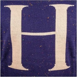 Jersey Azul Marino de Harry Potter 8a