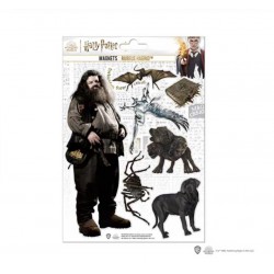 Set de imanes de goma - Hagrid