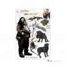 Set de imanes de goma - Hagrid