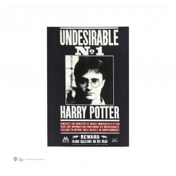 Harry Potter enemigo...