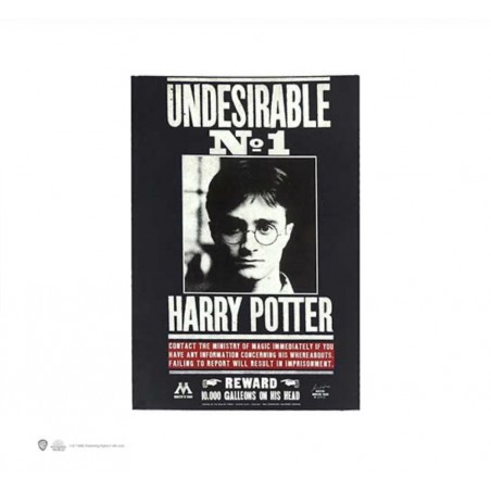 Harry Potter enemigo público n•1 Libreta tapa blanda - Undesirable N°1