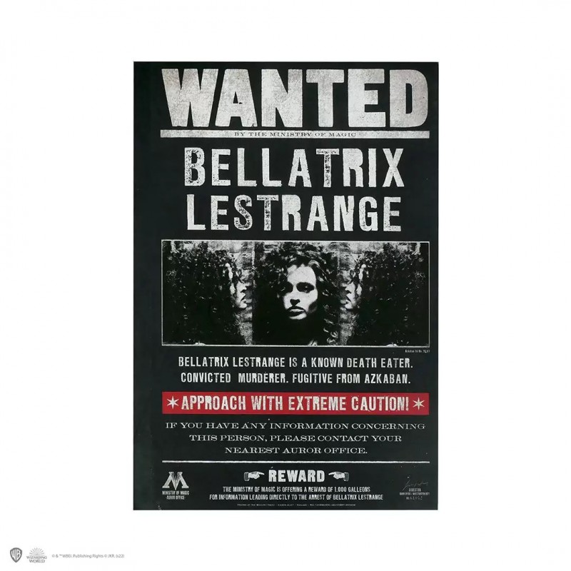Harry Potter cuaderno se busca Bellatrix
