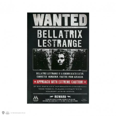 Harry Potter cuaderno se busca Bellatrix