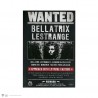 Harry Potter cuaderno se busca Bellatrix