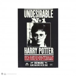 Harry Potter cuaderno...