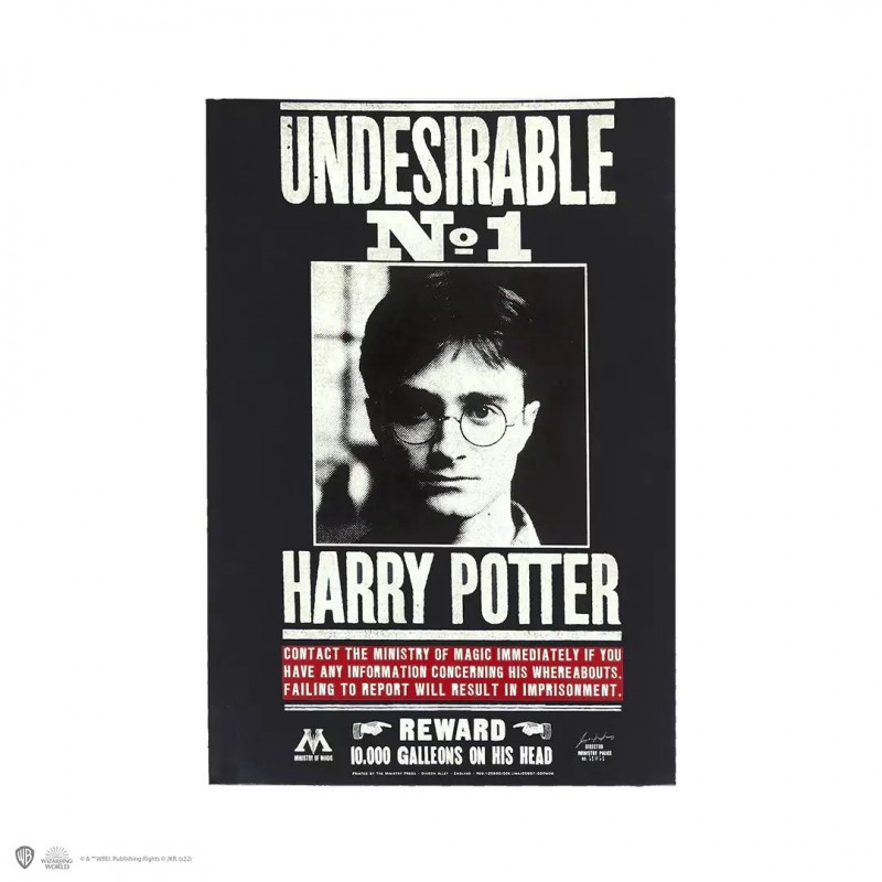 Harry Potter cuaderno enemigo 1 Harry Potter