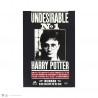 Harry Potter cuaderno enemigo 1 Harry Potter