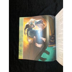 Harry Potter y La cámara secreta edición ilustrada tapa dura