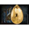 Harry Potter Huevo de oro talla real